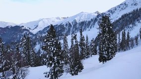 A breathtaking aerial view of a cold climate Asian landscape with snow-covered trees and misty, frozen mountain peaks at sunrise. - Powered by Shutterstock - Get 15% off with code: PIKWIZARD15