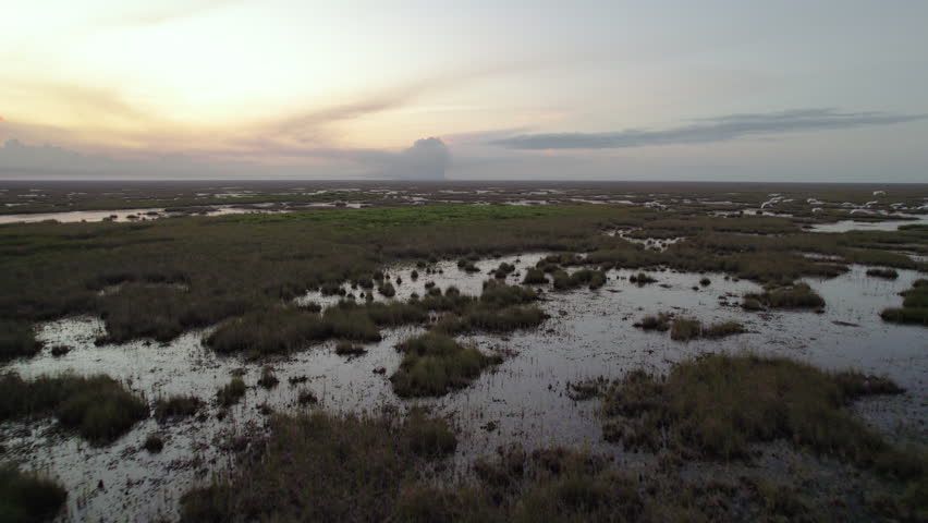 Everglades Wetland Slough Marsh Sawgrass Dusk White Ibis Birds Flying Aerial