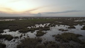Everglades Wetland Slough Marsh Sawgrass Dusk White Ibis Birds Flying Aerial - Powered by Shutterstock - Get 15% off with code: PIKWIZARD15