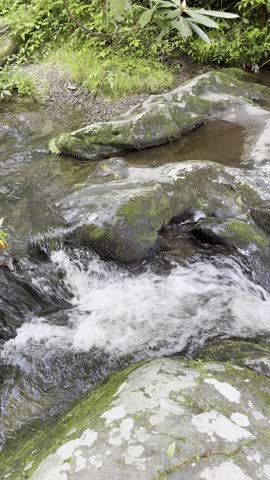Meigs Creek Cascade, Great Smoky Mountains National Park, Tennessee waterfall, Smoky Mountains, Meigs Creek Trail, cascade, forest waterfall, mountain stream, Appalachian Mountains, flowing water, lon