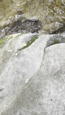 Meigs Creek Cascade, Great Smoky Mountains National Park, Tennessee waterfall, Smoky Mountains, Meigs Creek Trail, cascade, forest waterfall, mountain stream, Appalachian Mountains, flowing water, lon