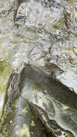 Meigs Creek Cascade, Great Smoky Mountains National Park, Tennessee waterfall, Smoky Mountains, Meigs Creek Trail, cascade, forest waterfall, mountain stream, Appalachian Mountains, flowing water, lon