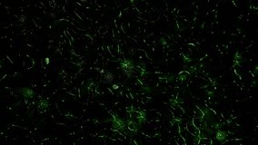 Universal Abstract Neon Green Bioluminescent Trails and Shimmering Particles Motion Graphics Futuristic Digital Data Stream or Microscopic Life - Powered by Shutterstock - Get 15% off with code: PIKWIZARD15