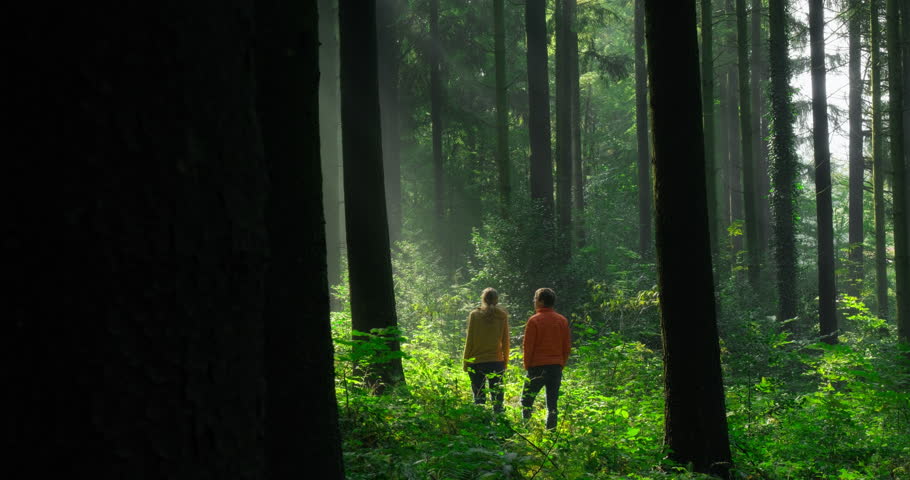 A man and a woman standing in a green atmospheric forest and watching the majestic sunbeams in the mist