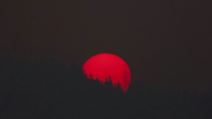 Dramatic red sun setting behind silhouetted forest trees at dusk.
