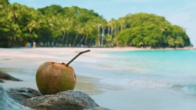 Coconut water drink with a straw on a rock by tropical beach with turquoise water and palm trees in Phuket island, Thailand. Refreshment summer drink on Freedom beach - Powered by Shutterstock - Get 15% off with code: PIKWIZARD15