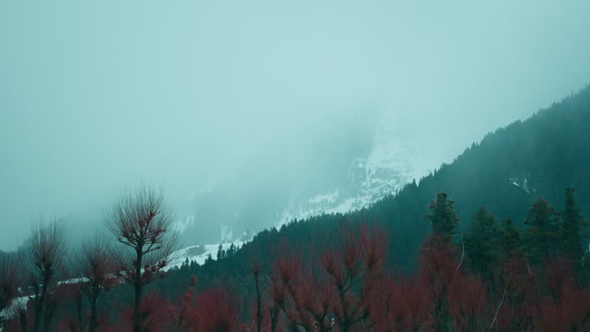 4K shot of winter landscape with snow mountains and forest covered in dark clouds at Betab Valley, Jammu and Kashmir, India. Nature background. Foggy, misty mountains during stormy weather in Himalaya