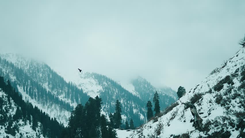 4K shot of snow covered Himalaya mountains during winter season at Chandanwari, Jammu and Kashmir, India. Snowy mountains and pine forest covered in white snow. Dark cloudy sky before snow storm. 