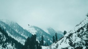 4K shot of snow covered Himalaya mountains during winter season at Chandanwari, Jammu and Kashmir, India. Snowy mountains and pine forest covered in white snow. Dark cloudy sky before snow storm.  - Powered by Shutterstock - Get 15% off with code: PIKWIZARD15