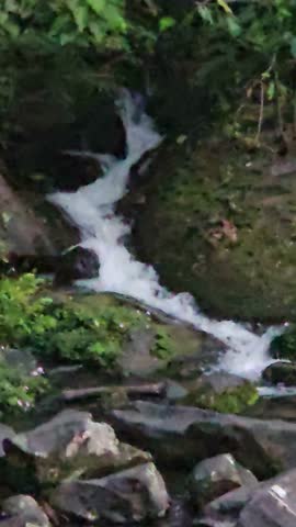 A striking juxtaposition contrasts a tall, misty waterfall cascading into a dark, rocky pool surrounded by dense