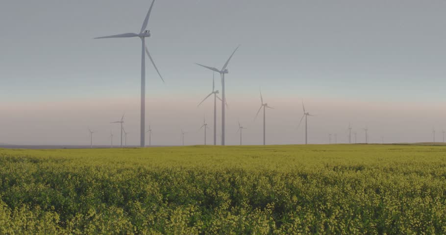 Wind turbines rotating and crops swaying then data widgets fading in showing real-time metrics. Renewable energy, technology, sustainability, innovation, rural landscape, digital interface