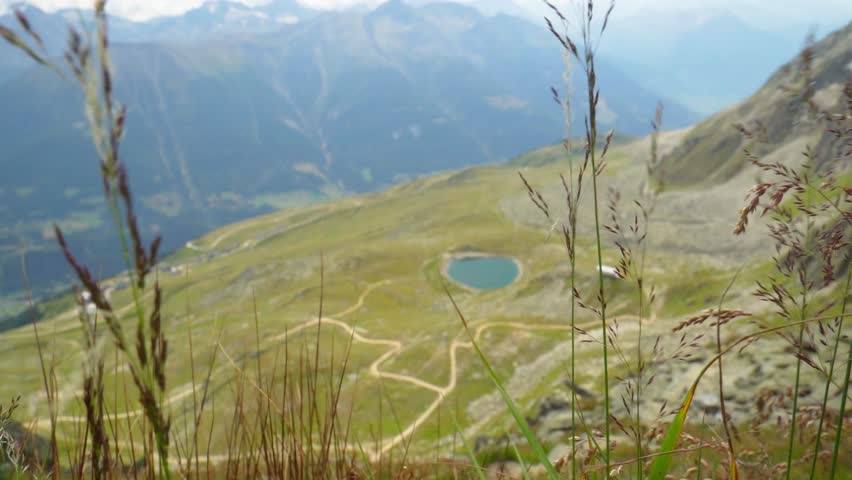 Majestic landscape in the alps, wind blowing the tall grass with a traditional swiss village and manmade pond in the background. Summertime Switzerland.