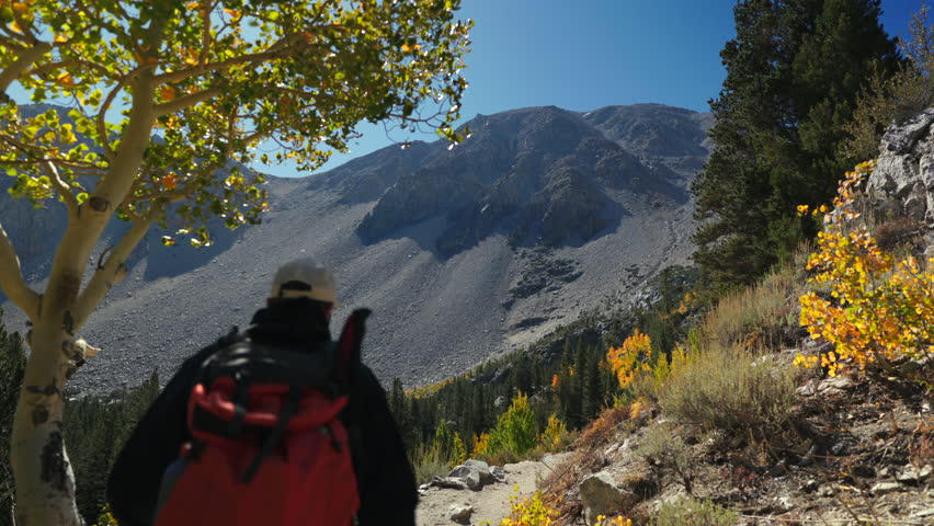 Male hiker skillfully navigates a breathtaking mountain trail that is surrounded by stunning and vibrant autumn foliage while enjoying the beautiful clear blue sky above