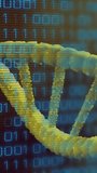 Animation of binary coding data processing over dna strand spinning. Global science, data processing, connections and cloud computing concept digitally generated video. - Powered by Shutterstock - Get 15% off with code: PIKWIZARD15