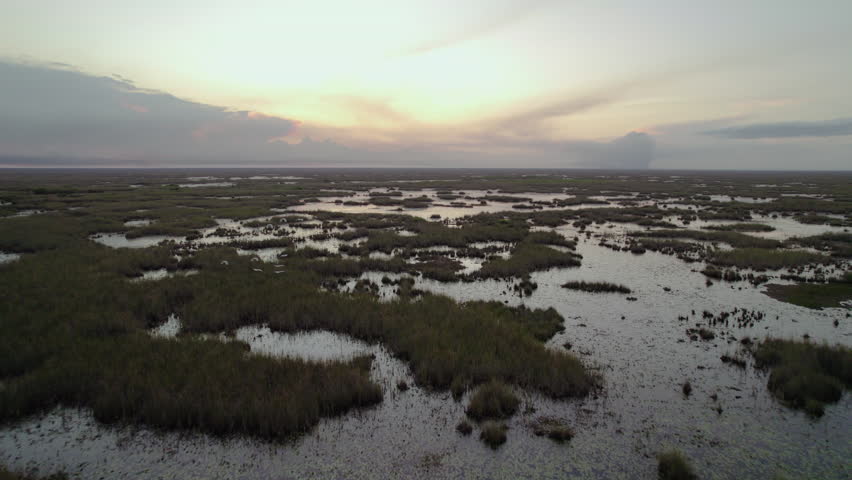 Everglades Wetland Slough Marsh Sawgrass Dusk Birds Flying Aerial 2