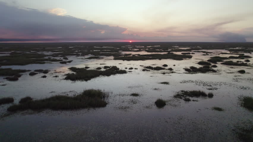Everglades Wetland Slough Marsh Sawgrass Sunset Rookery Aerial 2