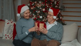 Happy married couple celebrating Christmas and New year, giving gift in holidays . Merry winter vacation, traditions of Xmas, elderly man and woman with funny Santa hats, smiling old lady and husband - Powered by Shutterstock - Get 15% off with code: PIKWIZARD15
