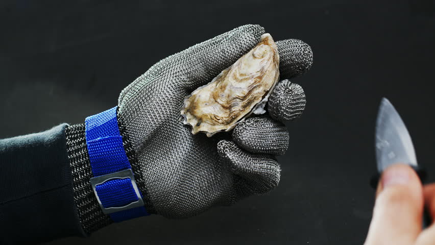 Opening raw oyster process; Man is opening oyster in a special glove. Close up.