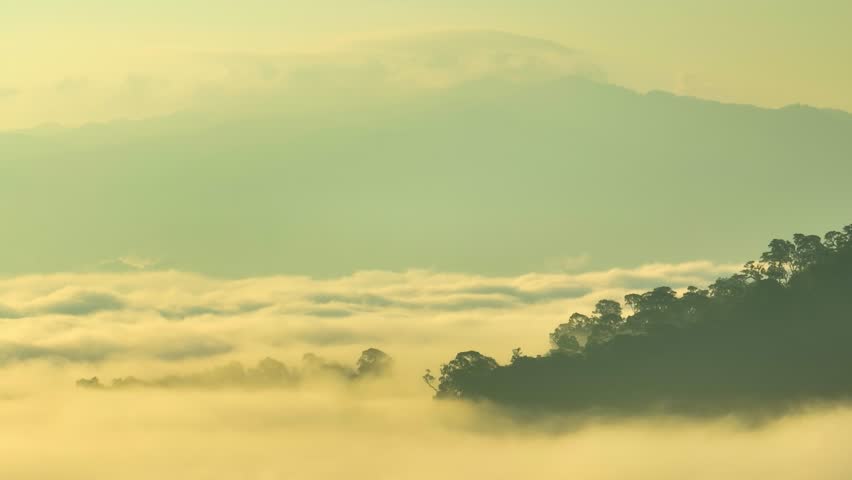 A drone fly above golden morning mist, revealing lush mountain forests bathed in sunrise light a portrait of sustainability, carbon storage, biodiversity, water cycle, and clean air. Thailand.
