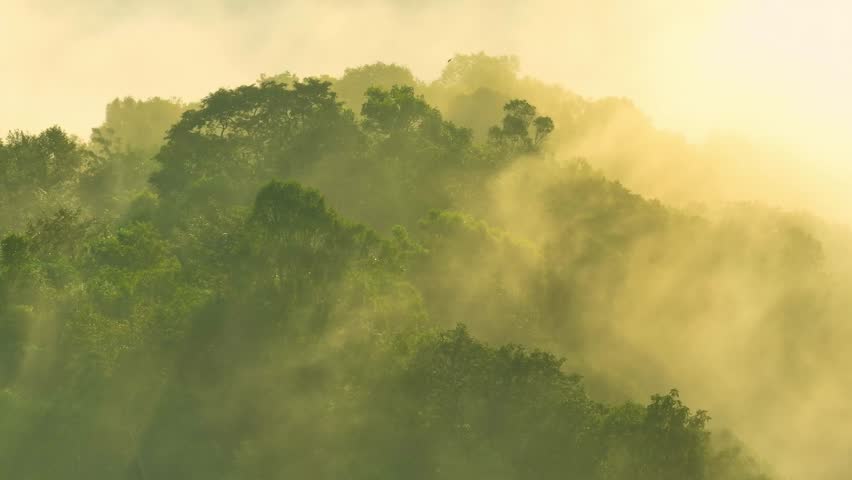 Golden sunlight pierces through morning mist over a lush tropical rainforest, captured by a drone. Birds glide above the canopy, symbolizing biodiversity, balance, renewal, and conservation. Thailand.