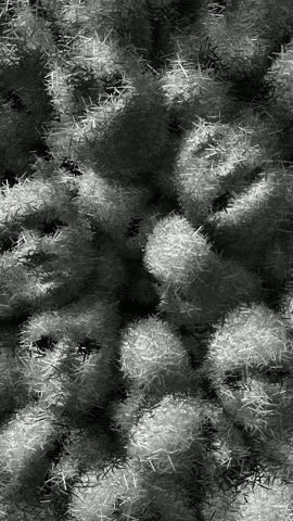 Creepy Scene with Pile of Expressionless White Masks with Hollow Eye Sockets and Minimal Features Stacked in Monochrome Composition, Animation Made of Sharp Fragments