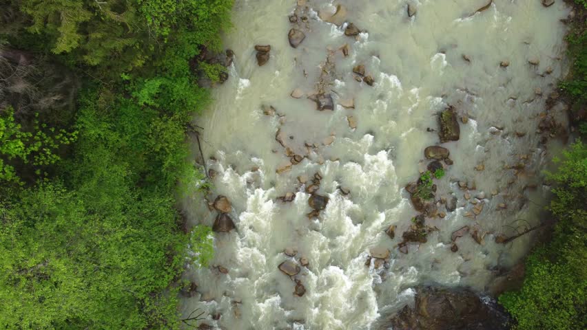 Mountain river with wooded banks, fast flowing, rapids and tributary stream in overcast rainy day, aerial vertical view down while descent 
