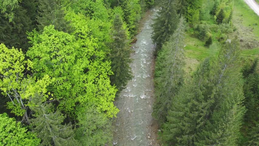 Mountain river with wooded banks, fast flowing and rapids in overcast day, aerial view while moving forward along the river downstream above the tree tops
