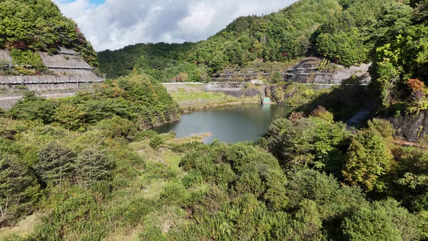 A lush green forest with a small lake in the middle. The lake is surrounded by trees and the sky is cloudy