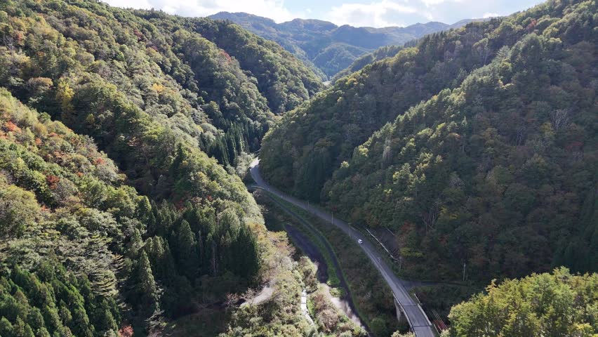 A mountain road with trees on either side. The road is narrow and winding, and the trees are tall and green