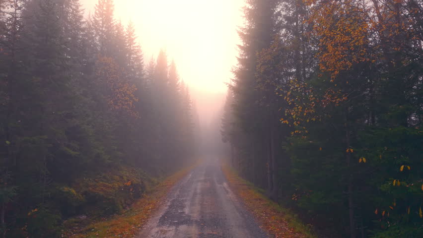 Aerial view of a slow drone flight along a fog-covered mountain road in Norway. Soft morning light and dense mist create a cinematic, tranquil atmosphere.