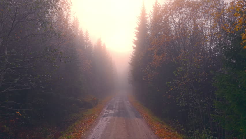Misty Mountain Road in Norway — Drone Flight Through Morning Fog
