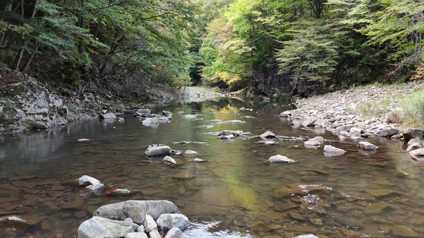 A river with a rocky shoreline and trees in the background. The water is calm and clear