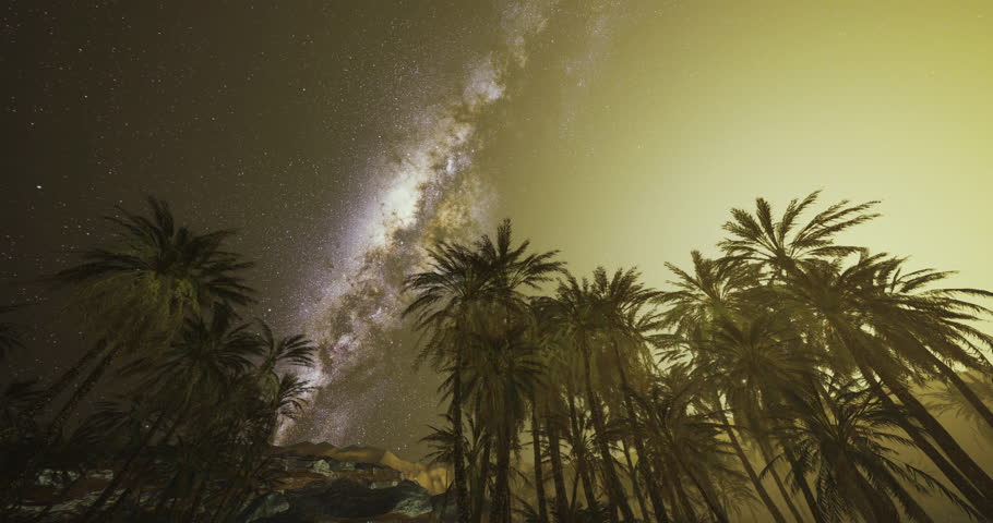 Bright stars populate the night sky, showcasing the Milky Way above tall palm trees in a tranquil setting. The scene features warm glow from a distant light source, creating a serene atmosphere.