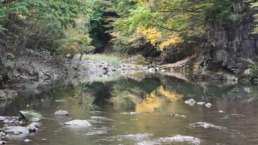 A river with a rocky shoreline and trees in the background. The water is calm and clear