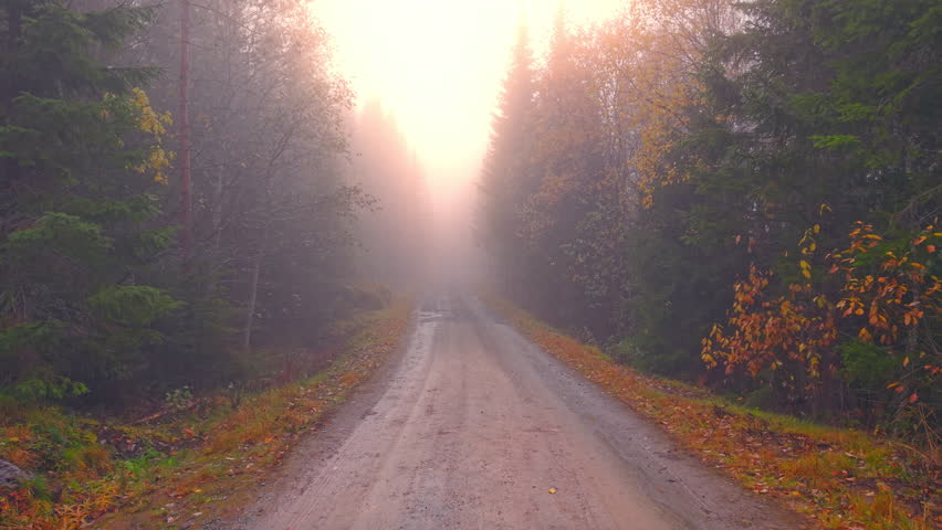 Cinematic aerial footage of a drone flying slowly along a foggy forest road in Norway. Soft sunlight filters through the mist, creating a dreamy autumn morning mood.