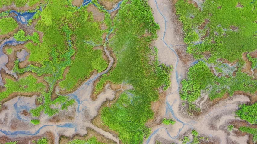 Sweeping bird’s eye aerial footage shows river tidal streams winding across green grasses and sandy marsh areas, with reflective pools glimmering under the natural light.