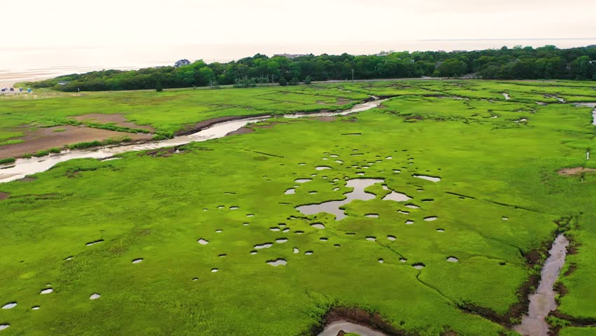 Drone footage of Gloucester marsh reveals lush wetlands and winding tidal creeks, highlighted by reflective pools and sandy inlets that create a cinematic portrait of the coastal landscape.