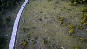 Group of cyclists riding on a scenic asphalt road between a dense forest and a green meadow - Powered by Shutterstock - Get 15% off with code: PIKWIZARD15