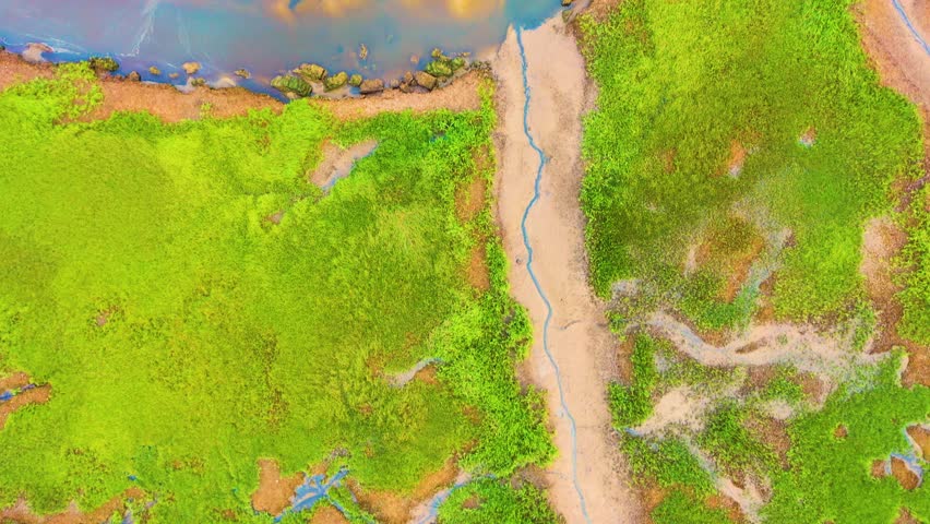 Top-down perspective from a drone captures the river marsh’s mix of vegetation, sandy flats, and tidal channels, creating a colorful mosaic across the wetland surface.