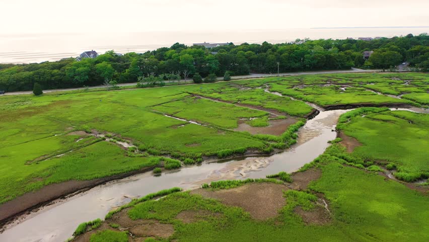 Aerial perspective captures expansive river marshland with curving waterways, reflective pools, and lush grasslands, presenting a tranquil natural landscape shaped by the tides.