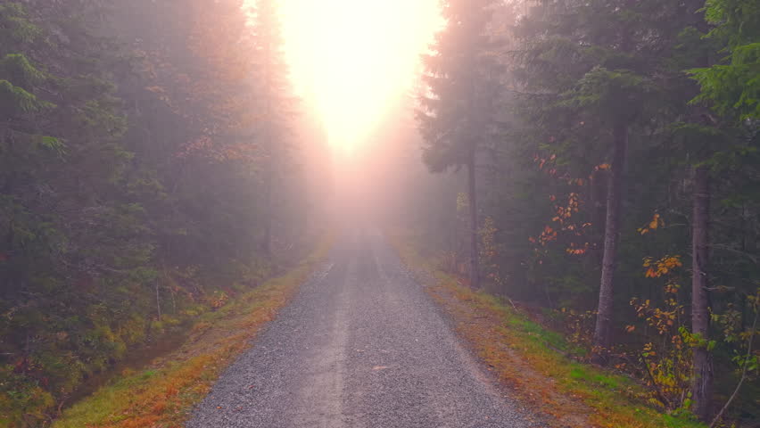 Aerial drone footage of a misty mountain road in Norway. Morning sunlight breaks through the dense fog and forest trees, creating a golden cinematic glow and tranquil autumn mood.