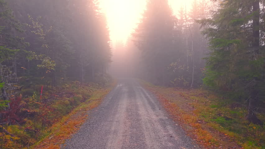 Aerial footage of a drone gliding through thick morning fog along a forest road in Norway. Soft sunlight and mist create a cinematic, peaceful atmosphere of Nordic nature.
