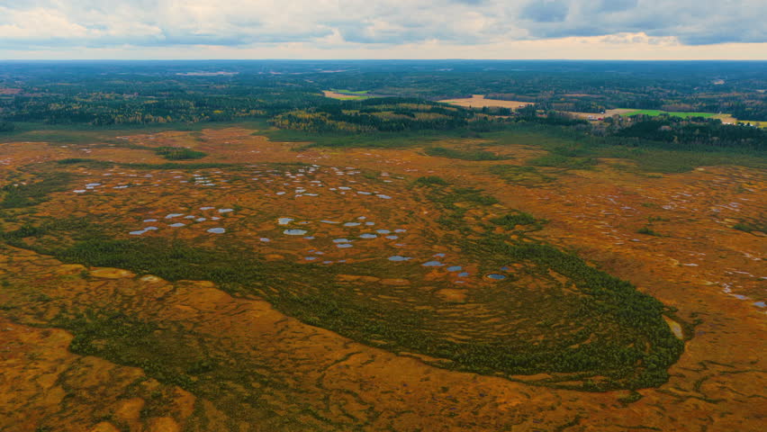 Aerial view orbiting a swamp, autumn day in Torronsuo national park, Finland