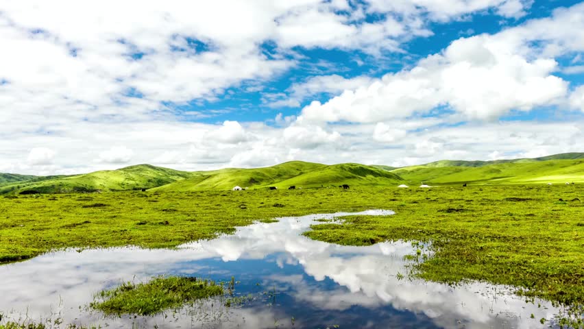 Serene grassland landscape with water reflecting the sky on a bright summer day