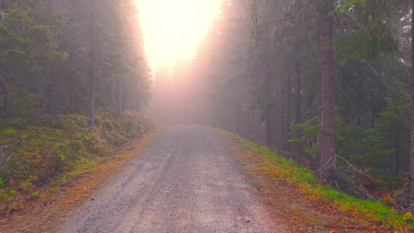 Cinematic drone footage of a forest road in Norway covered with autumn fog. Soft sunlight filters through mist and trees, creating a calm, ethereal, and atmospheric Nordic scene.
