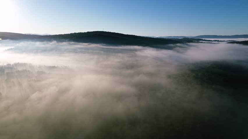 Aerial view of morning mist and fog moving over a beautiful green forest landscape