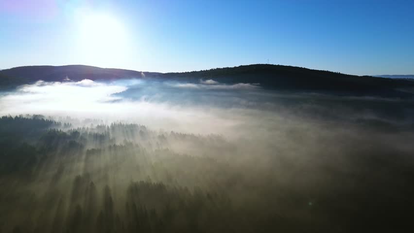 Drone footage capturing sunbeams filtering through mist over a dense coniferous forest at sunrise