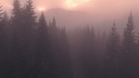 Aerial drone footage of soft pink morning fog rolling over pine forest in Norway. Gentle sunrise light and mist create a dreamy, cinematic, and tranquil Nordic landscape. - Powered by Shutterstock - Get 15% off with code: PIKWIZARD15