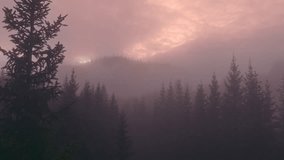 Aerial drone view of pink sunrise fog above pine forest in Norway. Warm morning light and mist create a cinematic and peaceful Nordic landscape filled with atmosphere. - Powered by Shutterstock - Get 15% off with code: PIKWIZARD15