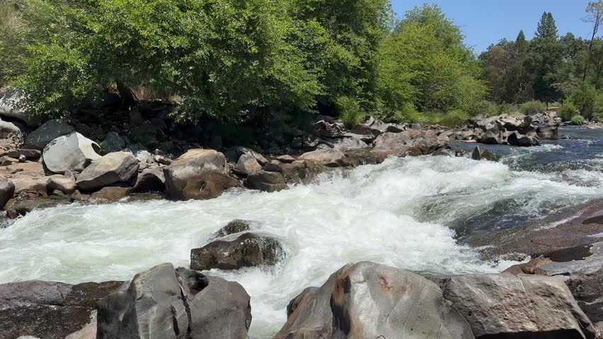 White water churns around boulders and past green trees on a summer day along the banks of the Mokelumne River in Calaveras County, California.